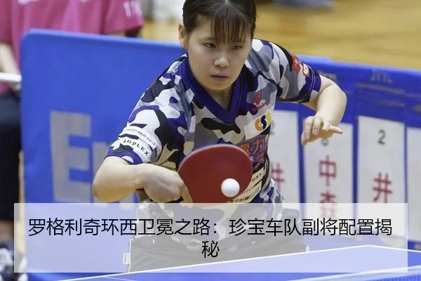 luo-ge-li-qi-huan-xi-wei-mian-zhi-lu-zhen-bao-che-dui-fu-jiang-pei-zhi-jie-mi-2-831.jpg