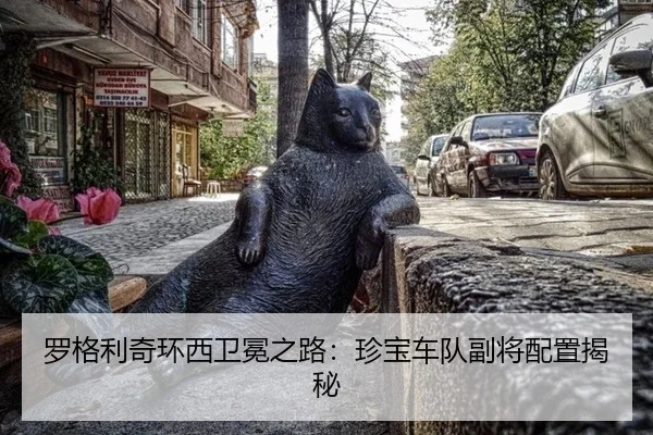 luo-ge-li-qi-huan-xi-wei-mian-zhi-lu-zhen-bao-che-dui-fu-jiang-pei-zhi-jie-mi-3-890.jpg